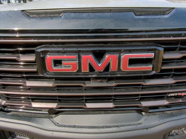 2025 GMC Sierra 1500 Vehicle Photo in ALBERTVILLE, AL 35950-0246