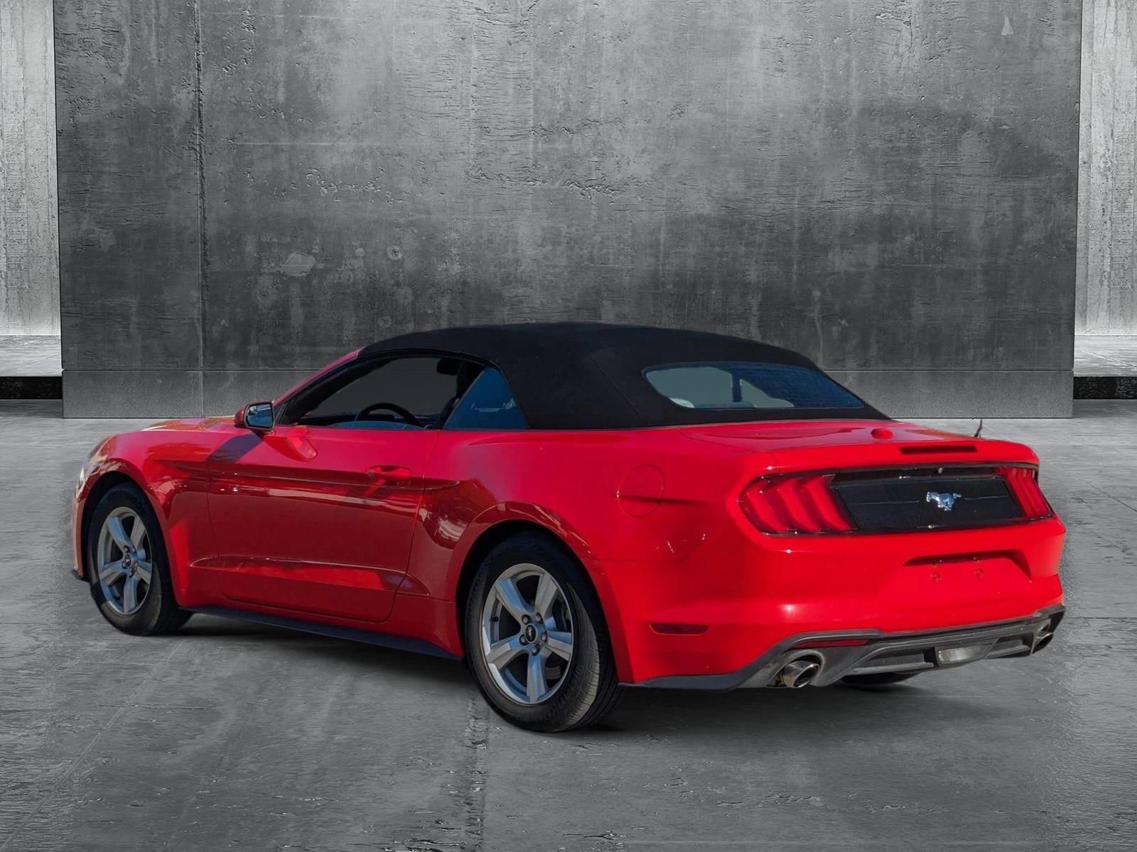 2019 Ford Mustang Vehicle Photo in St. Petersburg, FL 33713