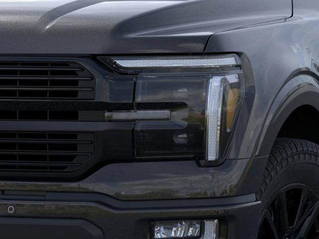 2025 Ford F-150 Vehicle Photo in Weatherford, TX 76087