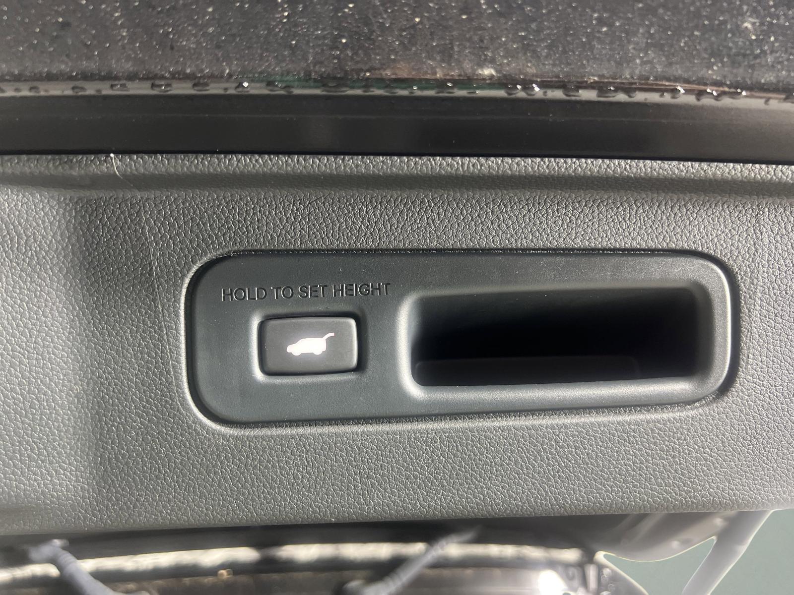 2023 Honda Pilot Vehicle Photo in Georgetown, TX 78626