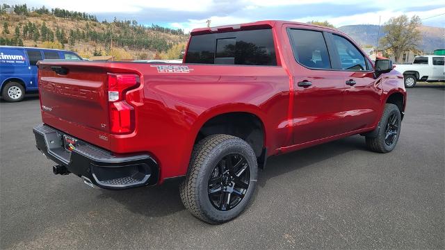 2025 Chevrolet Silverado 1500 Vehicle Photo in FLAGSTAFF, AZ 86001-6214