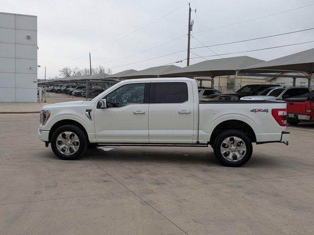 2022 Ford F-150 Vehicle Photo in SELMA, TX 78154-1459