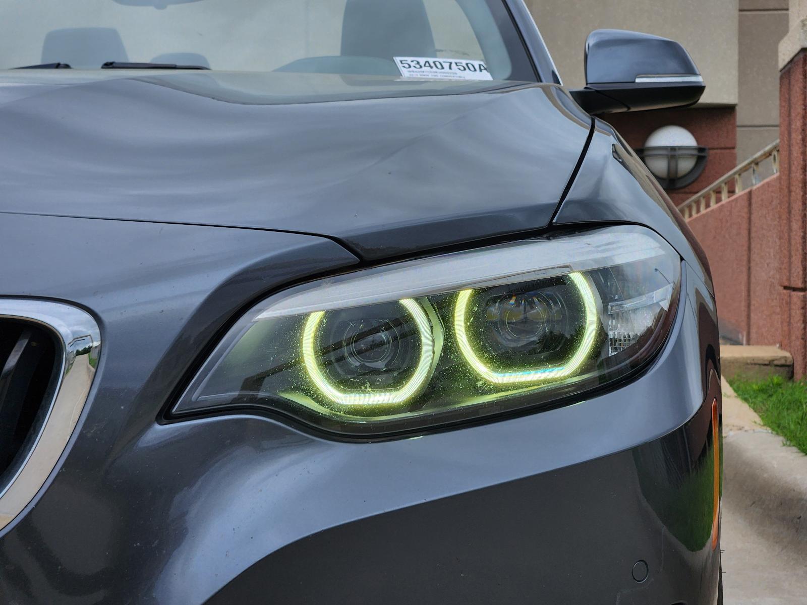 2019 BMW 230i Vehicle Photo in PLANO, TX 75024