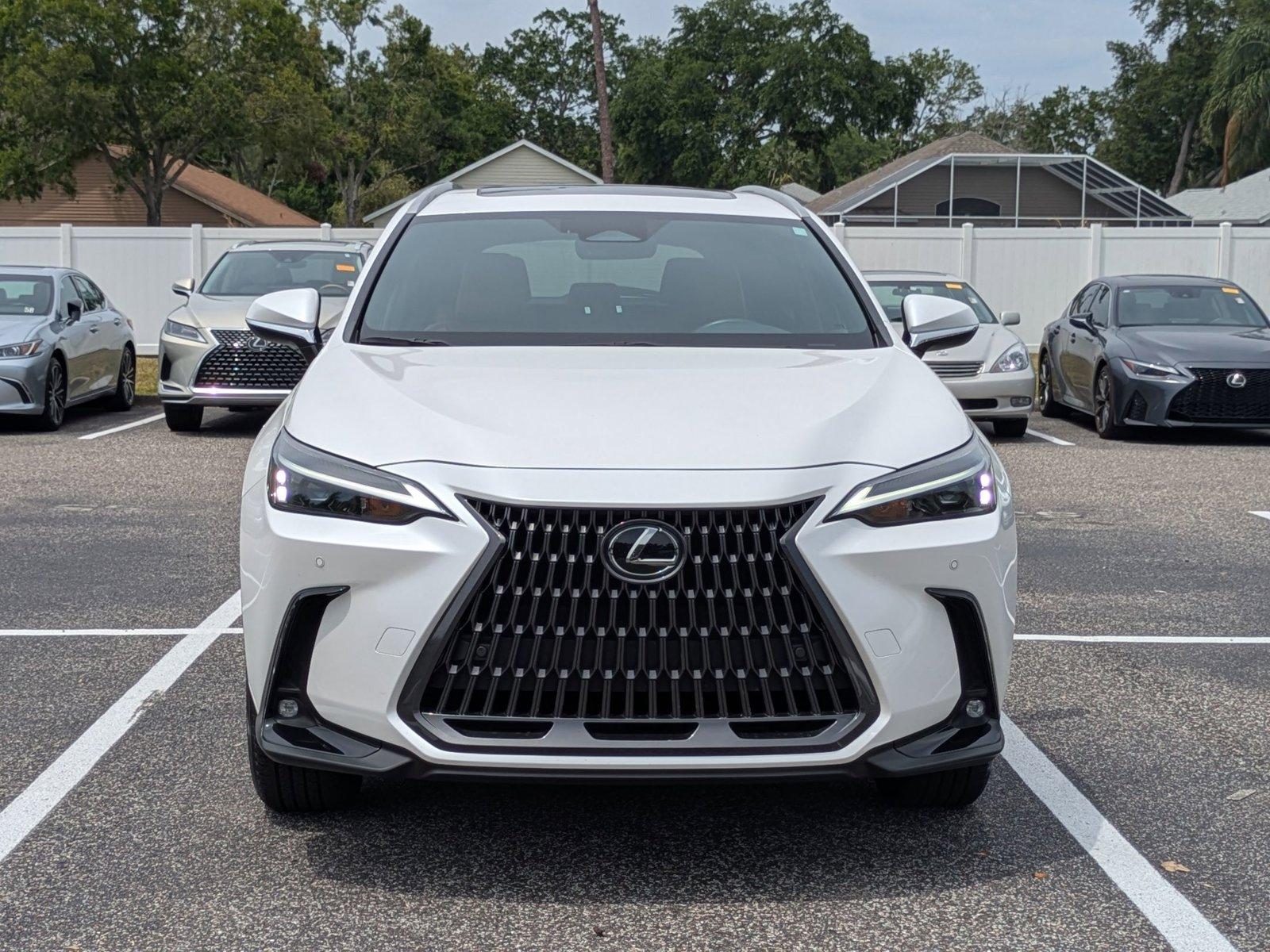 2024 Lexus NX 250 Vehicle Photo in Clearwater, FL 33761