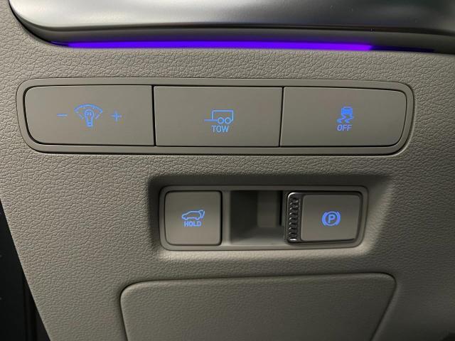 2025 Hyundai PALISADE Vehicle Photo in Appleton, WI 54913