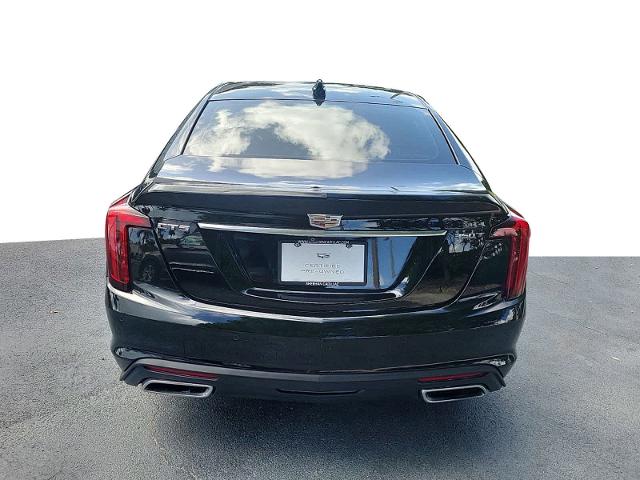 2022 Cadillac CT5 Vehicle Photo in POMPANO BEACH, FL 33064-7091