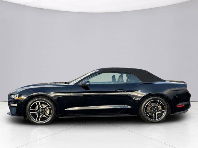 2020 Ford Mustang Vehicle Photo in LEOMINSTER, MA 01453-2952