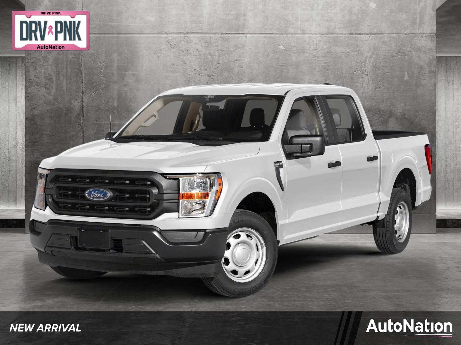 2022 Ford F-150 Vehicle Photo in Jacksonville, FL 32256