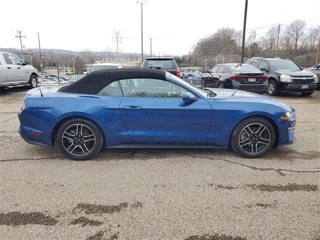 2022 Ford Mustang Vehicle Photo in MILFORD, OH 45150-1684