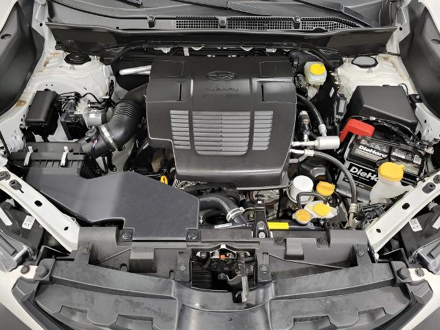 2024 Subaru Forester Vehicle Photo in Green Bay, WI 54304