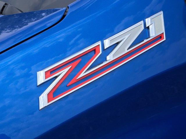 2024 Chevrolet Silverado 1500 Vehicle Photo in Decatur, TX 76234