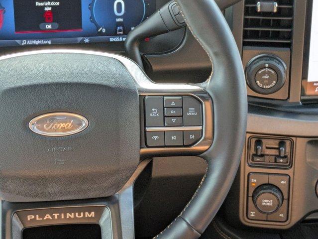 2023 Ford Super Duty F-250 SRW Vehicle Photo in SELMA, TX 78154-1459
