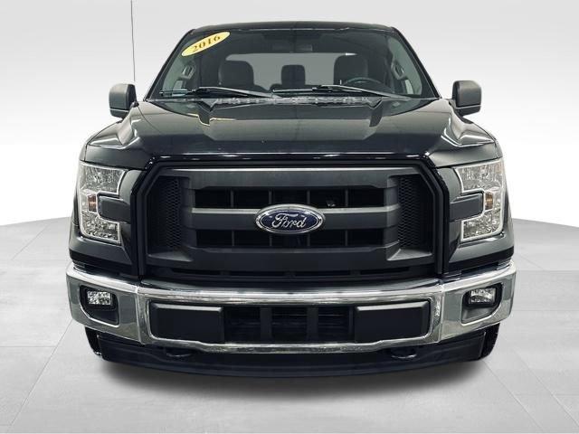 2016 Ford F-150 Vehicle Photo in MEDINA, OH 44256-9631