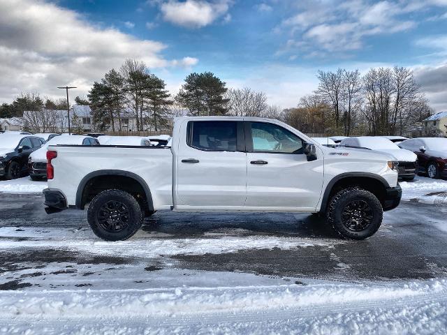 2022 Chevrolet Silverado 1500 Vehicle Photo in WILLIAMSVILLE, NY 14221-2883