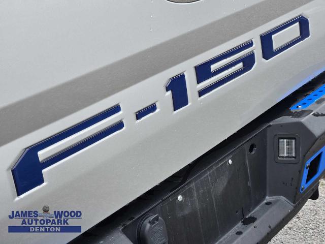 2019 Ford F-150 Vehicle Photo in DENTON, TX 76210-9321