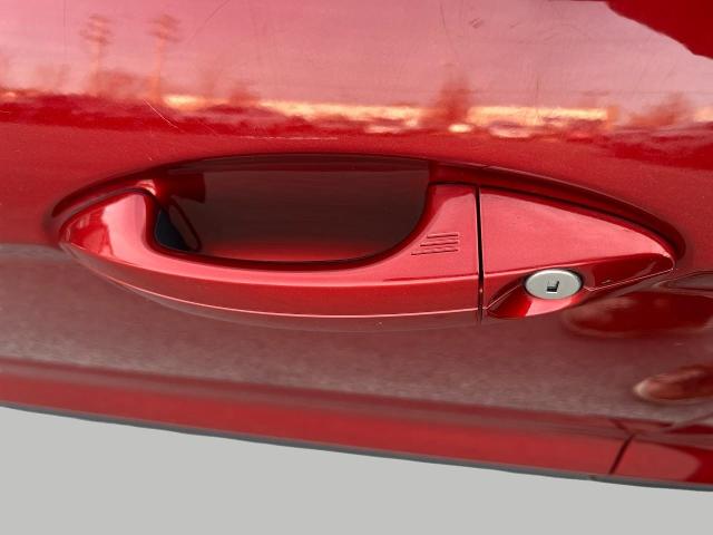 2019 Ford EcoSport Vehicle Photo in Oshkosh, WI 54904