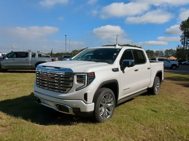 2025 GMC Sierra 1500 Vehicle Photo in ALBERTVILLE, AL 35950-0246