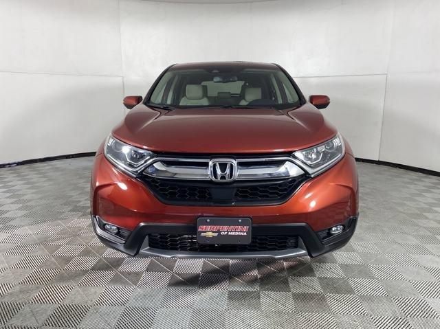 2019 Honda CR-V Vehicle Photo in MEDINA, OH 44256-9001