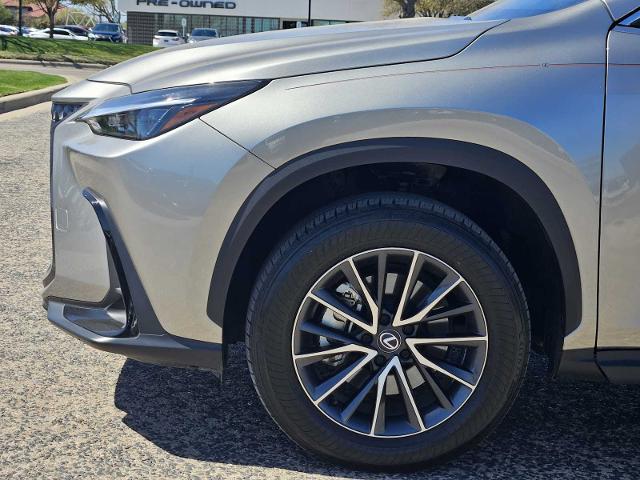 2024 Lexus NX 250 Vehicle Photo in FORT WORTH, TX 76132