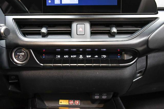 2024 Lexus UX 250h Vehicle Photo in DALLAS, TX 75235