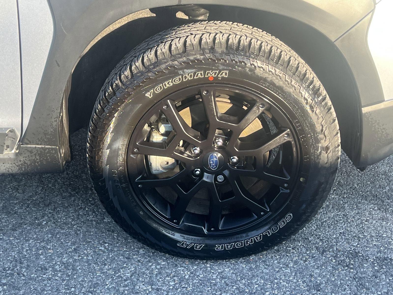 2024 Subaru Crosstrek Vehicle Photo in Mechanicsburg, PA 17050