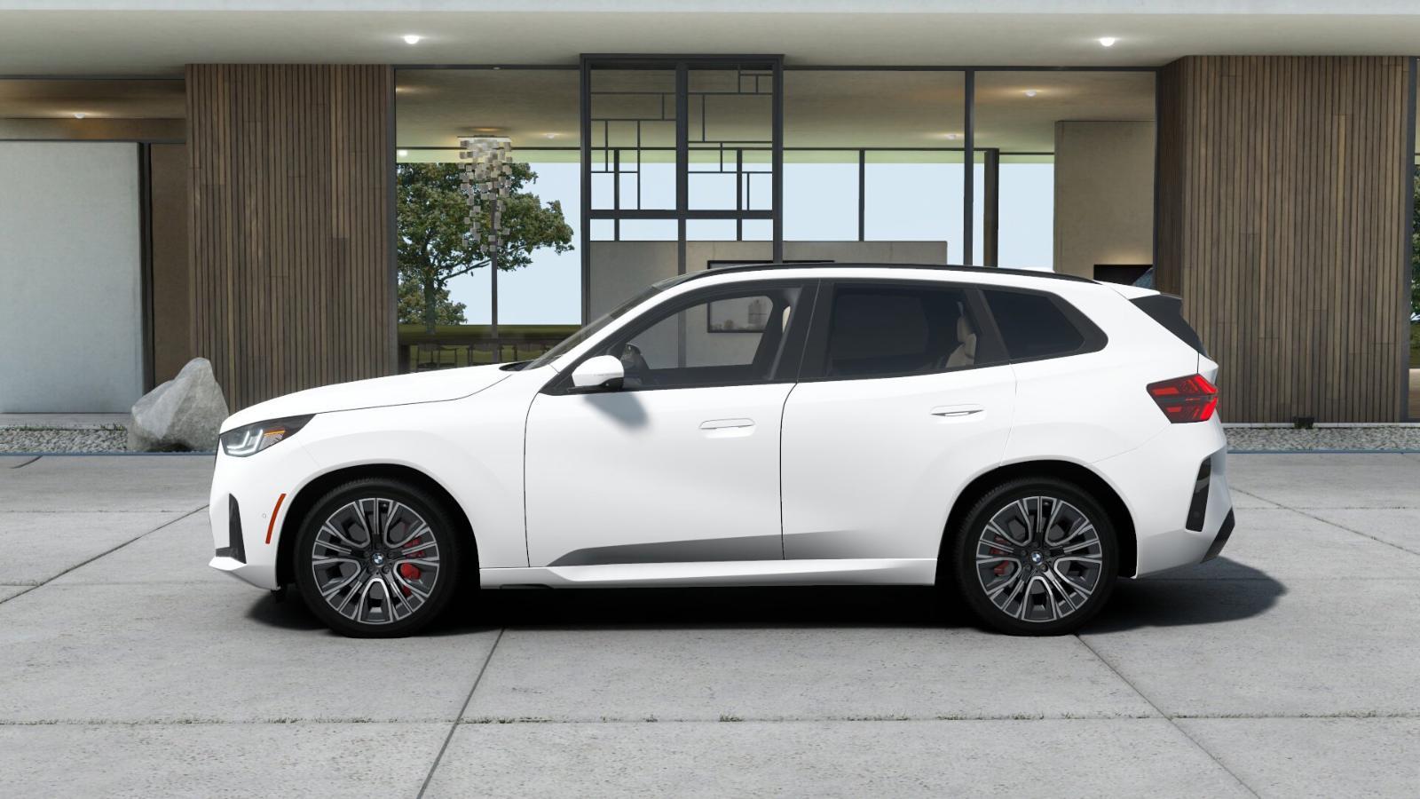 2025 BMW X3 30 xDrive Vehicle Photo in GRAPEVINE, TX 76051