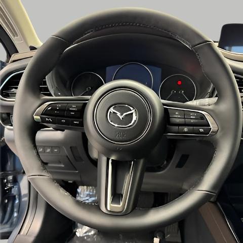 2025 Mazda CX-30 Vehicle Photo in Green Bay, WI 54304