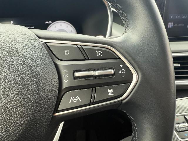 2022 Hyundai SANTA FE Vehicle Photo in Appleton, WI 54914