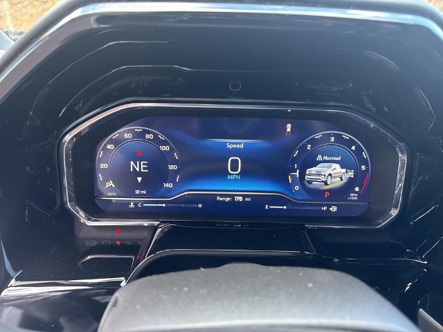 2025 Chevrolet Silverado 1500 Vehicle Photo in MARION, NC 28752-6372