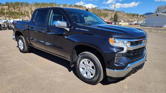2023 Chevrolet Silverado 1500 Vehicle Photo in FLAGSTAFF, AZ 86001-6214