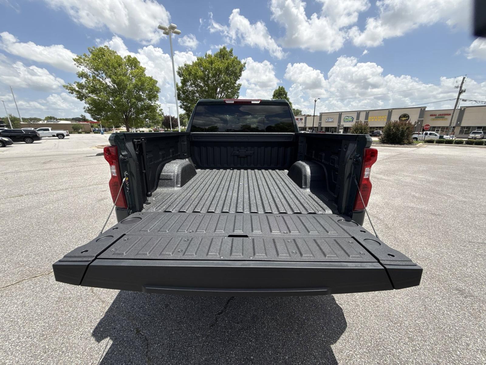 2025 Chevrolet Silverado 1500 Vehicle Photo in BENTONVILLE, AR 72712-4322