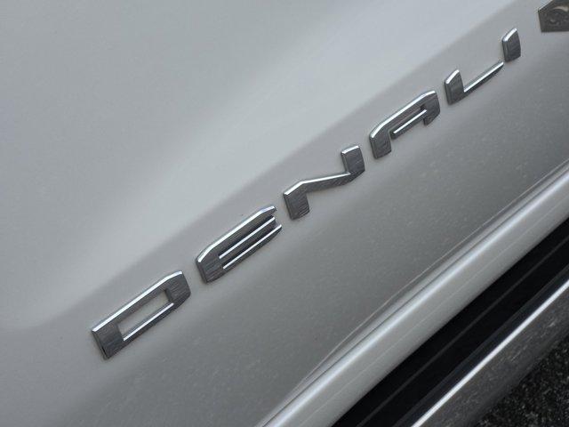 2023 GMC Sierra 1500 Vehicle Photo in Decatur, TX 76234