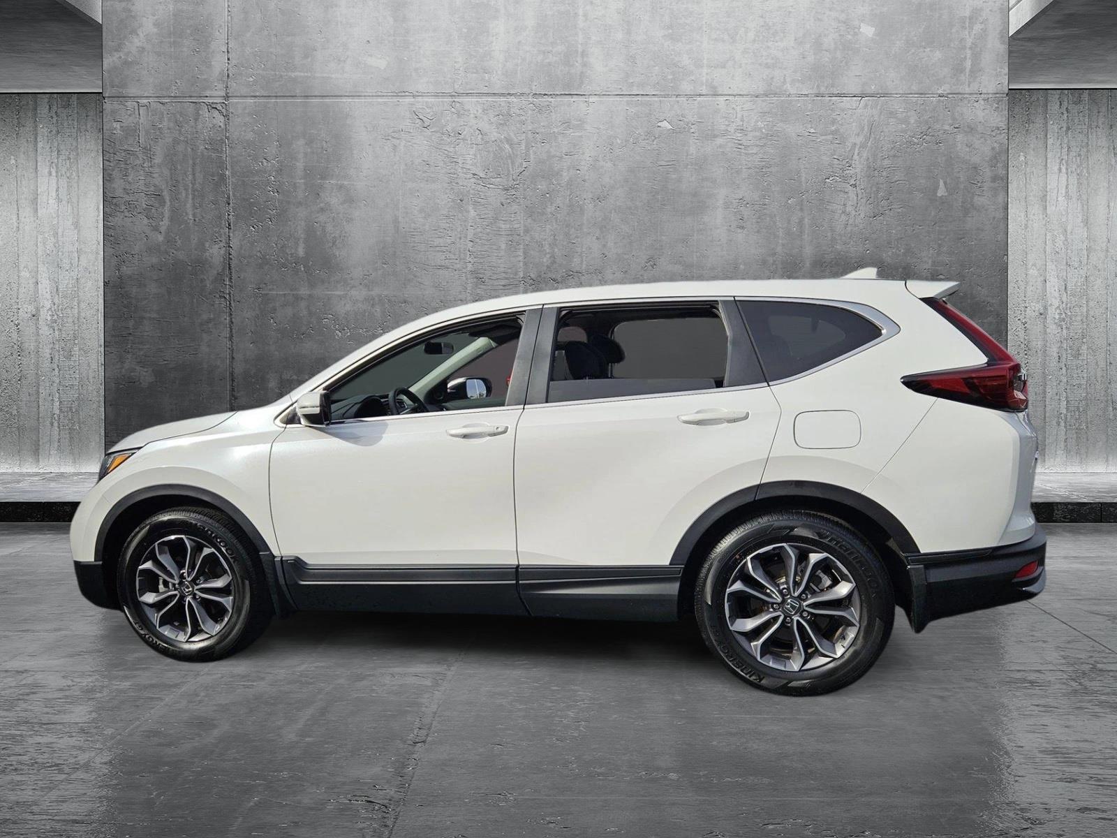 2022 Honda CR-V Vehicle Photo in Clearwater, FL 33764