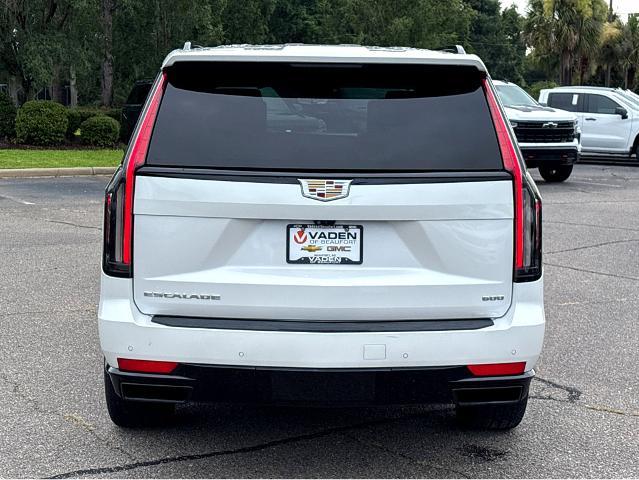 2021 Cadillac Escalade Vehicle Photo in BEAUFORT, SC 29906-4218