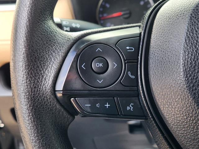 2019 Toyota RAV4 Vehicle Photo in GRAPEVINE, TX 76051-8302