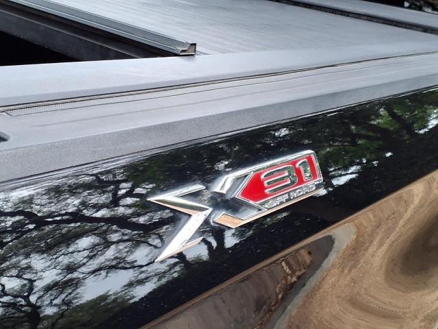 2019 GMC Sierra 1500 Vehicle Photo in San Antonio, TX 78230-1001