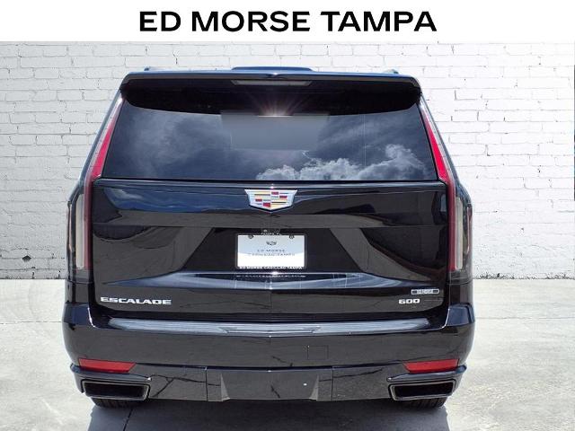 2021 Cadillac Escalade Vehicle Photo in Tampa, FL 33612