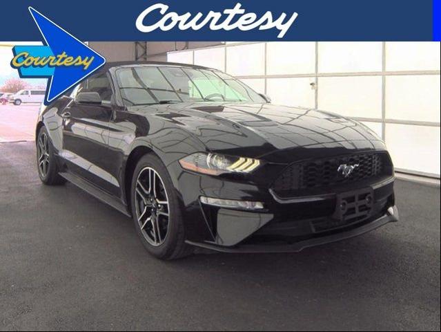2021 Ford Mustang Vehicle Photo in PHOENIX, AZ 85014-3381
