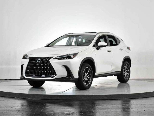 2024 Lexus NX 250 Vehicle Photo in DALLAS, TX 75235