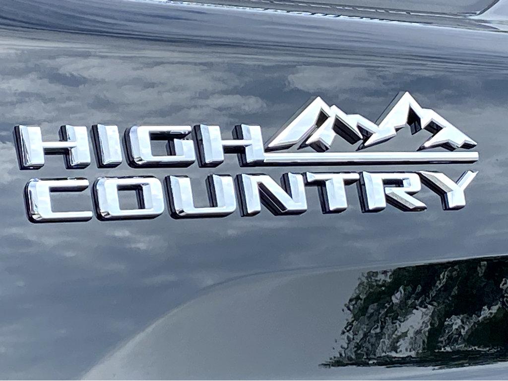 2025 Chevrolet Silverado 2500 HD Vehicle Photo in POOLER, GA 31322-3252