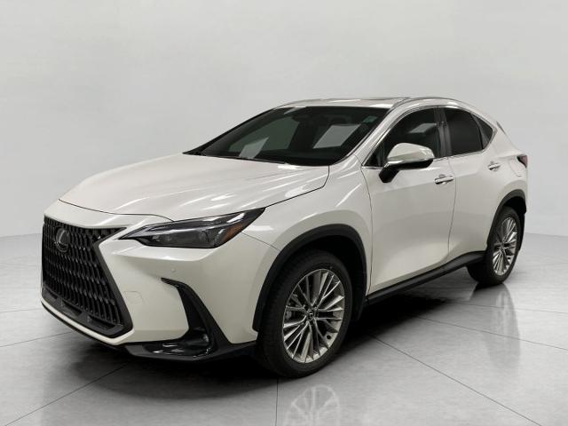 2025 Lexus NX 350 Vehicle Photo in Appleton, WI 54913