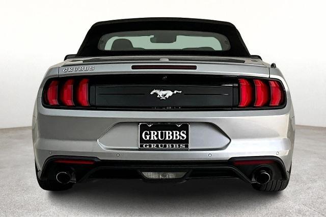 2023 Ford Mustang Vehicle Photo in San Antonio, TX 78230