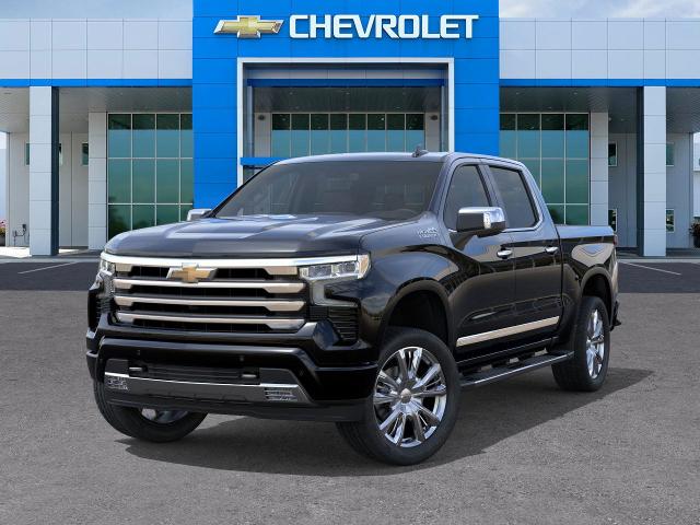 2025 Chevrolet Silverado 1500 Vehicle Photo in SELMA, TX 78154-1460