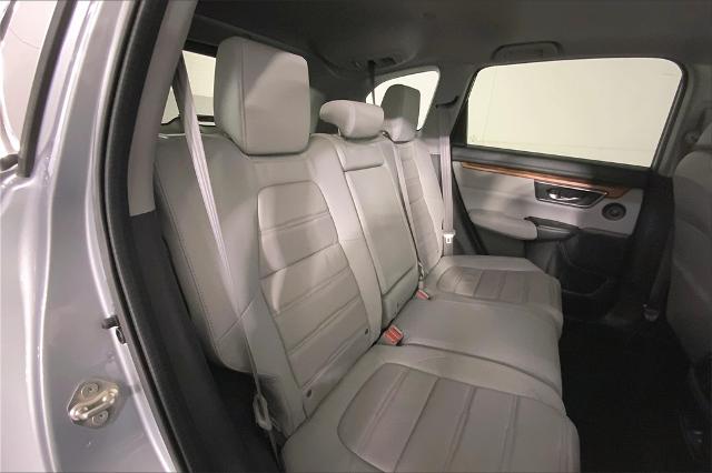 2019 Honda CR-V Vehicle Photo in Lees Summit, MO 64086