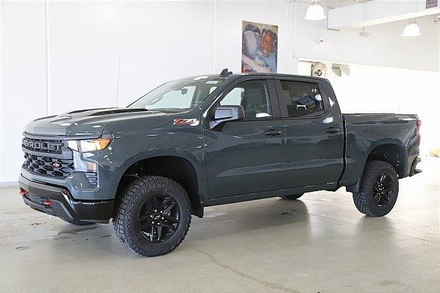 2025 Chevrolet Silverado 1500 Vehicle Photo in MEDINA, OH 44256-9001