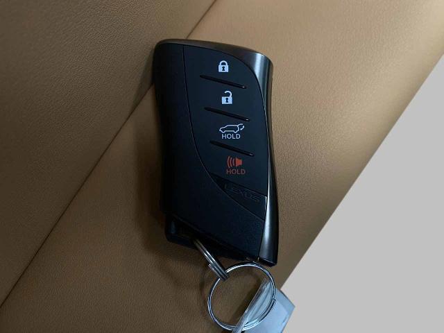 2025 Lexus NX 350h Vehicle Photo in Appleton, WI 54913
