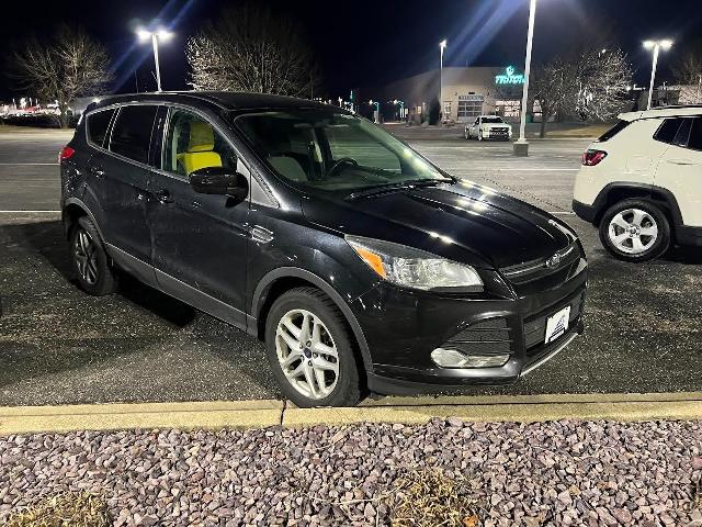 2014 Ford Escape Vehicle Photo in MIDDLETON, WI 53562-1492