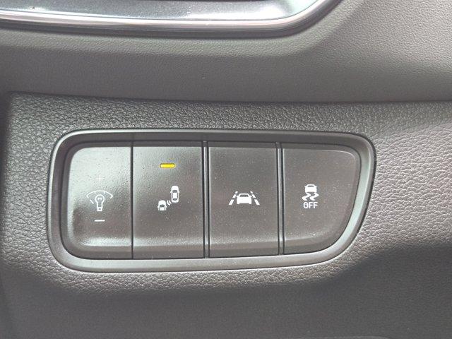2019 Hyundai SANTA FE Vehicle Photo in Decatur, TX 76234
