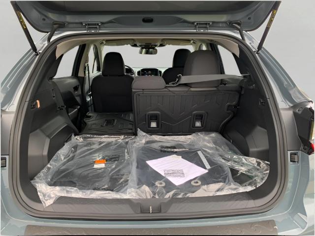 2025 Subaru Crosstrek Vehicle Photo in Oshkosh, WI 54904