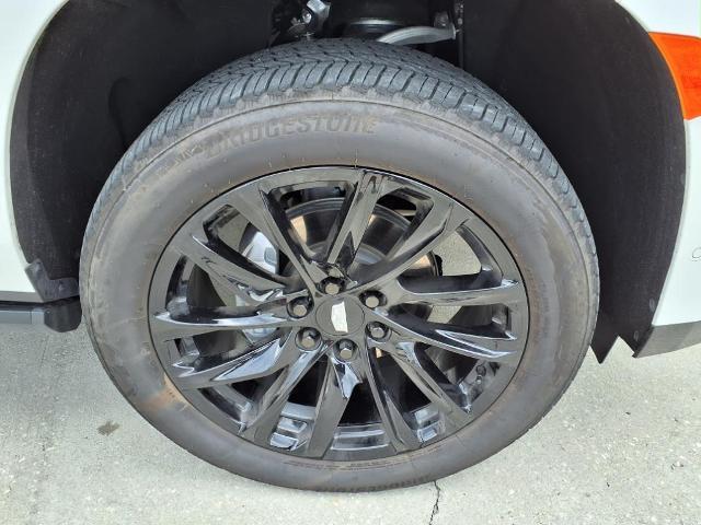 2024 Cadillac Escalade Vehicle Photo in Tampa, FL 33612
